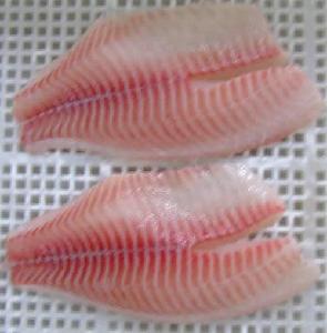 Ready Stock Frozen Tilapia Fish Fillet with Good Price