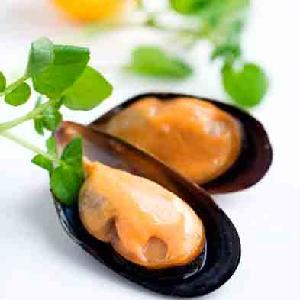 Seafood Shellfish Frozen Half Shell Mussel