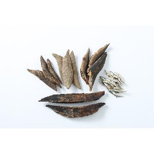 Hot-selling Seafood Condiment from Japan