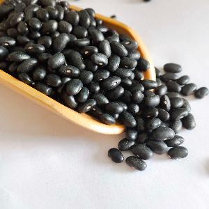 2020 organic black kidney bean black beans price