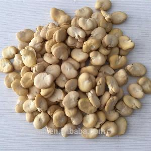 2020 Chinese hulled split Broad Beans / fava beans / faba beans no insects