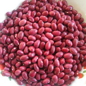2020 crop small / dark red kidney beans buyer red kideny bean / Rajma