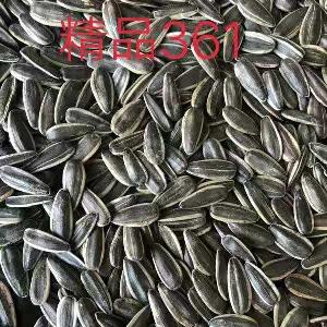 Types of sunflower  seeds  for  export ing,361