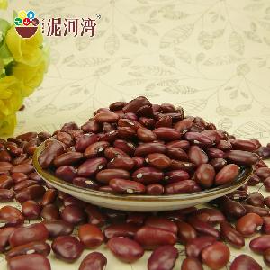 2019 new crop bulk organic dark red kidney bean long type