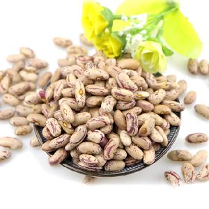 Light Speckled Kidney beans / sugar beans / pinto beans