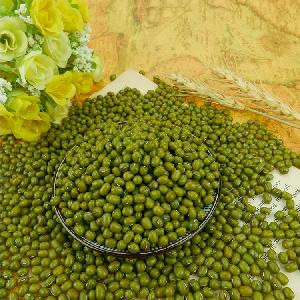 2019 new crop,small green mung bean for sprouts,MC type
