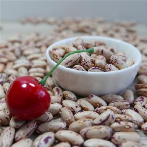 High quality Light Specked Kidney beans,long type