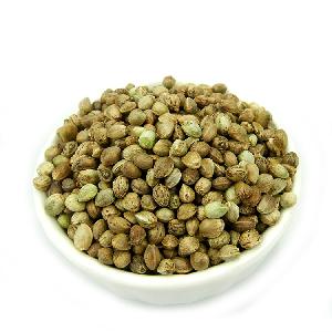 ALIBABA USED EXCLUSIVELY Hemp seed (New crop 2019)
