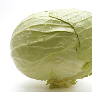 New Chinese 2020 crop ball shape cabbage zhangjiakou origin