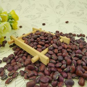 97% high purity red cowpeas dark red cowpea beans