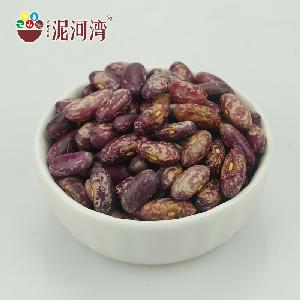 Export grade dry  purple   kidney  bean/ purple   speckled   kidney   beans  for canning or food cooing