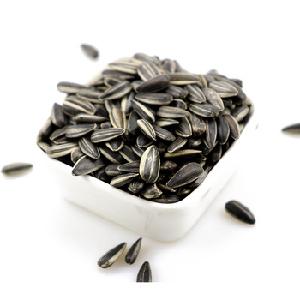 different type sunflower seed for exporting