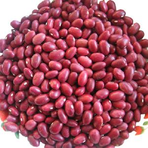 Britain Dark Red Kidney Beans for  canned food