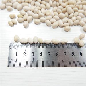 China 2019 white kidney bean New Zealand white navy beans on hot sale MC