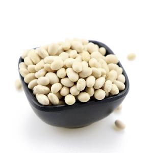 High quality Natural Grown white kidney bean organic bulk dry beans with competitive price