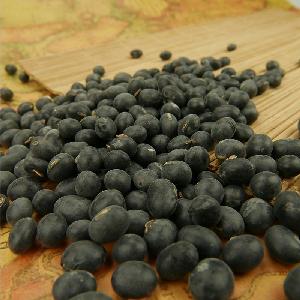 2019 Hot sale Big black bean with yellow kernel