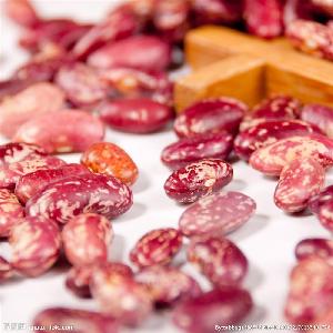 2019 Chinese organic purple red speckled kidney beans lower price