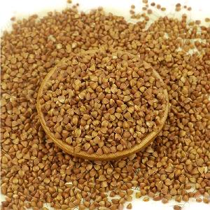 roasted buckwheat kernel unhulled with best quality and competitive price