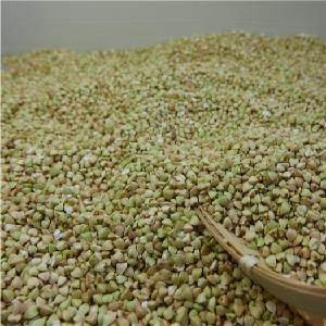 2019 raw shelled hulled Sweet Buckwheat kernels