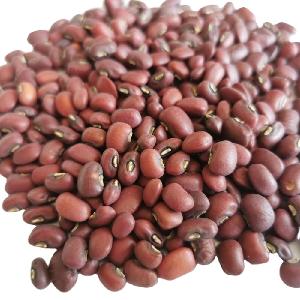 New crop healthy high quality small red cowpea
