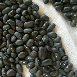 2019 new crop big black beans/black kidney beans/black lentils sample