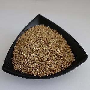 canary seed of bird feed for exporting