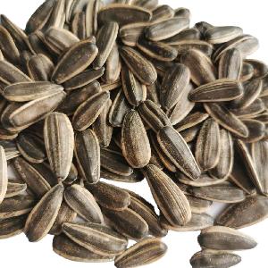 361 type  sunflower seed from Inner Monglia for exporting