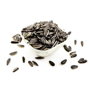 Best Quality sunflower seed for exporting