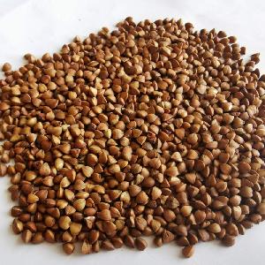 Brand new Roaste buckwheat kernel with low price
