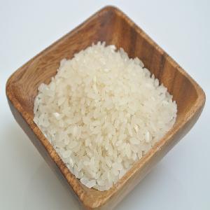 ROUND RICE- JAPONICA/SUSHI/CALROSE RICE 5% BROKEN NEW CROP