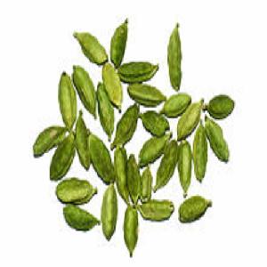 Fresh Green Cardamom, herbs, spice, condiments, kernels, grains, nuts
