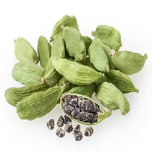 Single Herbs & Spices Product Type and Dried Style Fennel Seeds