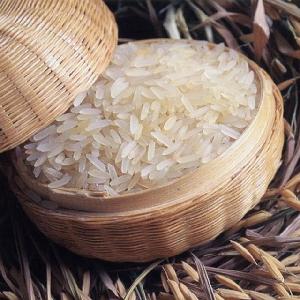 Glutinous Rice 100% Broken  and GLUTINOUS RICE/STICKY RICE 5%/10%