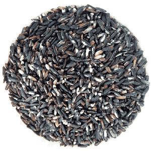 BLACK  RICE   SEED S - BLACK P RICE 