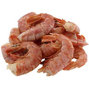 Shrimp