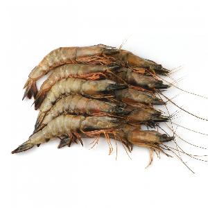 Vietnam exports - high quality black tiger shrimp