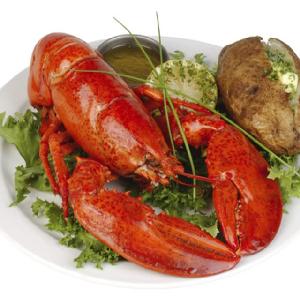 Fresh Quality Pacific Canadian Red Lobsters for sale