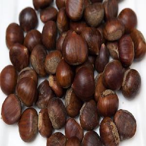 Large quantity Natural healthy chestnut