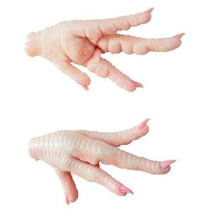 Frozen Chicken Feet and Paws Grade +A+ from Brazil