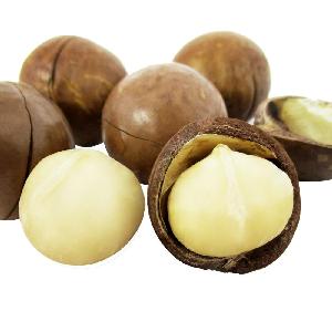 wholesale Raw vietnam macadamia / Roasted Macadamia nuts price