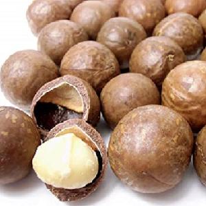  Macadamia   nut s, roasted  macadamia , organic  macadamia   nut s
