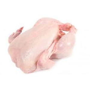 chicken,Halal Chicken Feet / Frozen Chicken Paws Brazil / Fresh chicken wings for export