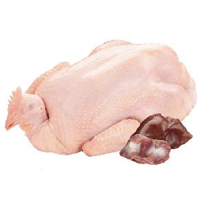 ISO Certified  Turkey  Frozen  Whole   Chicken 