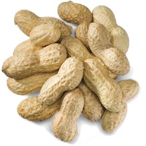 peanuts prices 1kg raw blanched price roasted peanut blanched peanuts price