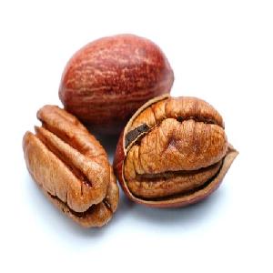  Agricultural  Farm price Pecan nuts ready available/ Raw pecan/ shifted pecan nut
