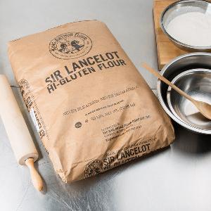 Certified high protein Food Grade vital Wheat Gluten free flour (Premium Quality)