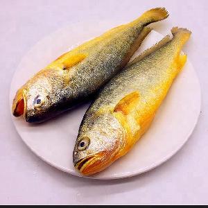 High Quality Frozen Whole Fish Whole Round Yellow Croaker