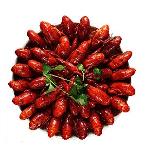 Frozen Tasty Cooked Signal Crayfish