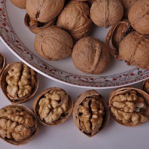 nuts hot selling black walnuts prices in shell