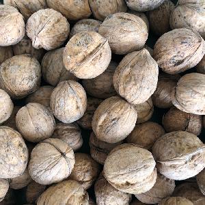 almonds cashew nuts walnuts walnuts sale